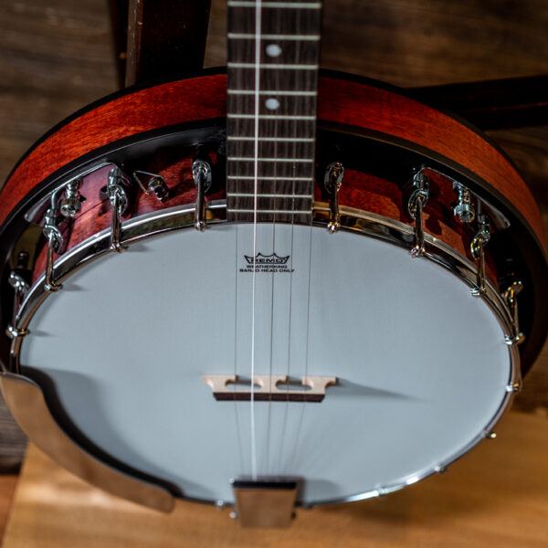 Washburn B8-PACK Banjo Banjo, Banjo for sale at Richards Guitars.