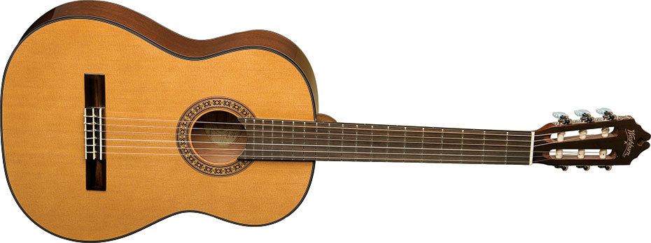 Washburn C40 Classical - Natural Nylon Strung Guitar, Nylon Strung Guitar for sale at Richards Guitars.