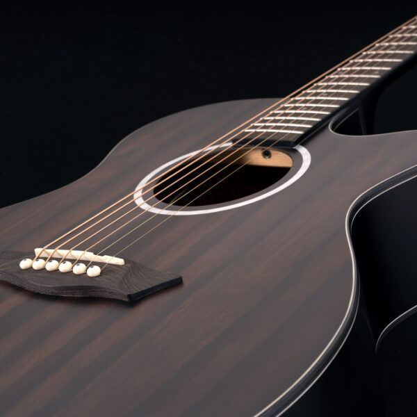 Washburn EBONY ACE - Grand Auditorium - Natural Matte Electro Acoustic Guitar, Electro Acoustic Guitar for sale at Richards Guitars.