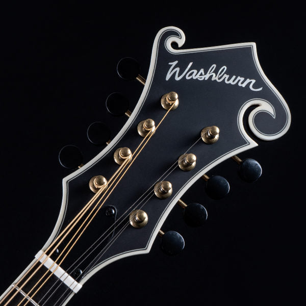 Washburn M118SW - Mandolin - Vintage Natural Mandolin, Mandolin for sale at Richards Guitars.