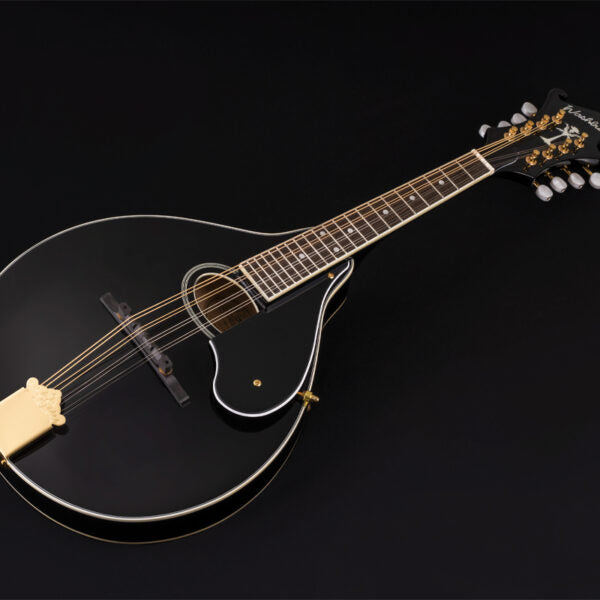 Washburn M1SD - Mandolin - Black Mandolin, Mandolin for sale at Richards Guitars.