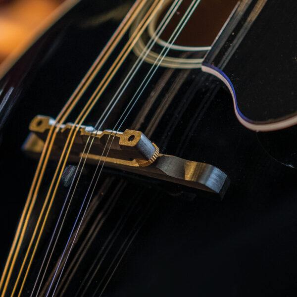 Washburn M1SD - Mandolin - Black Mandolin, Mandolin for sale at Richards Guitars.