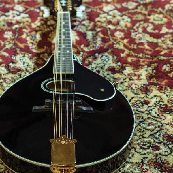 Washburn M1SD - Mandolin - Black Mandolin, Mandolin for sale at Richards Guitars.