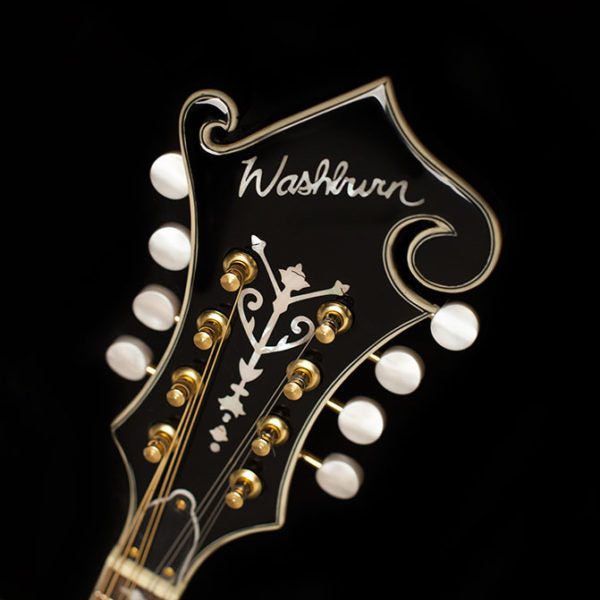 Washburn M3SWE - Mandolin - Trans Wine Red Mandolin, Mandolin for sale at Richards Guitars.