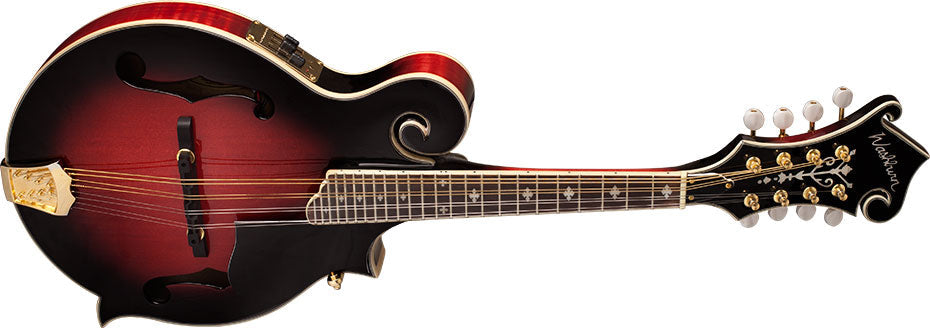 Washburn M3SWE - Mandolin - Trans Wine Red Mandolin, Mandolin for sale at Richards Guitars.