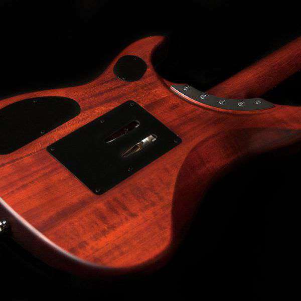 Washburn Nuno Bettencourt N24-NUNO VINTAGE PADAUK Electric Guitar, Electric Guitar for sale at Richards Guitars.
