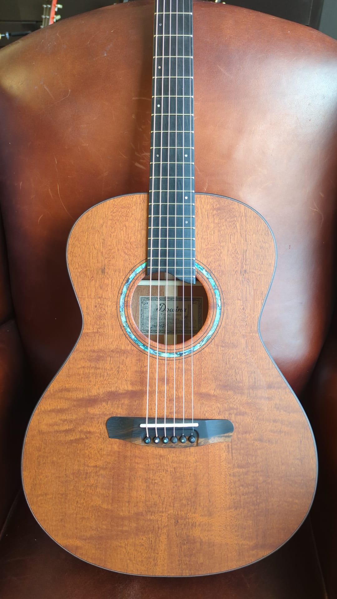 Dowina Tribute To Honduran Mahogany OMG (15+ years old), Acoustic Guitar for sale at Richards Guitars.