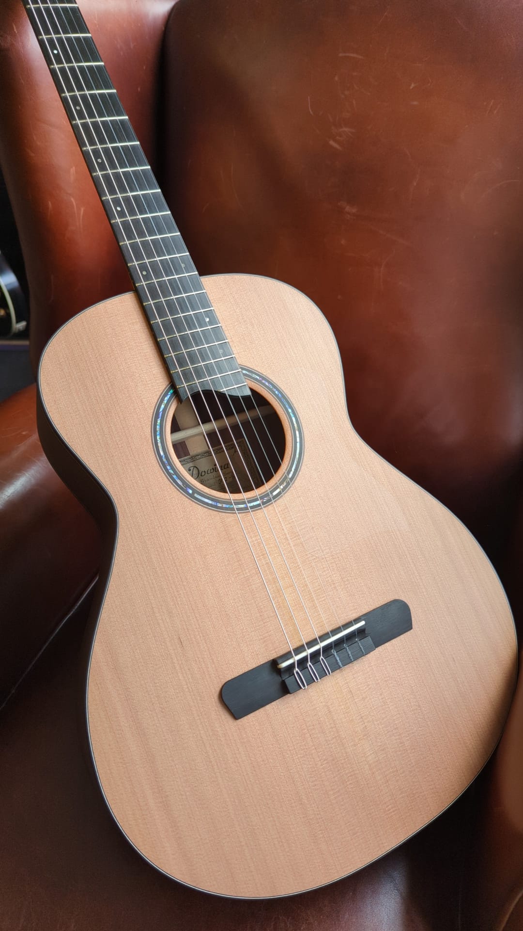 Dowina Rosewood OMG-H. OM Body Nylon Hybrid Acoustic Guitar, Nylon Strung Guitar for sale at Richards Guitars.