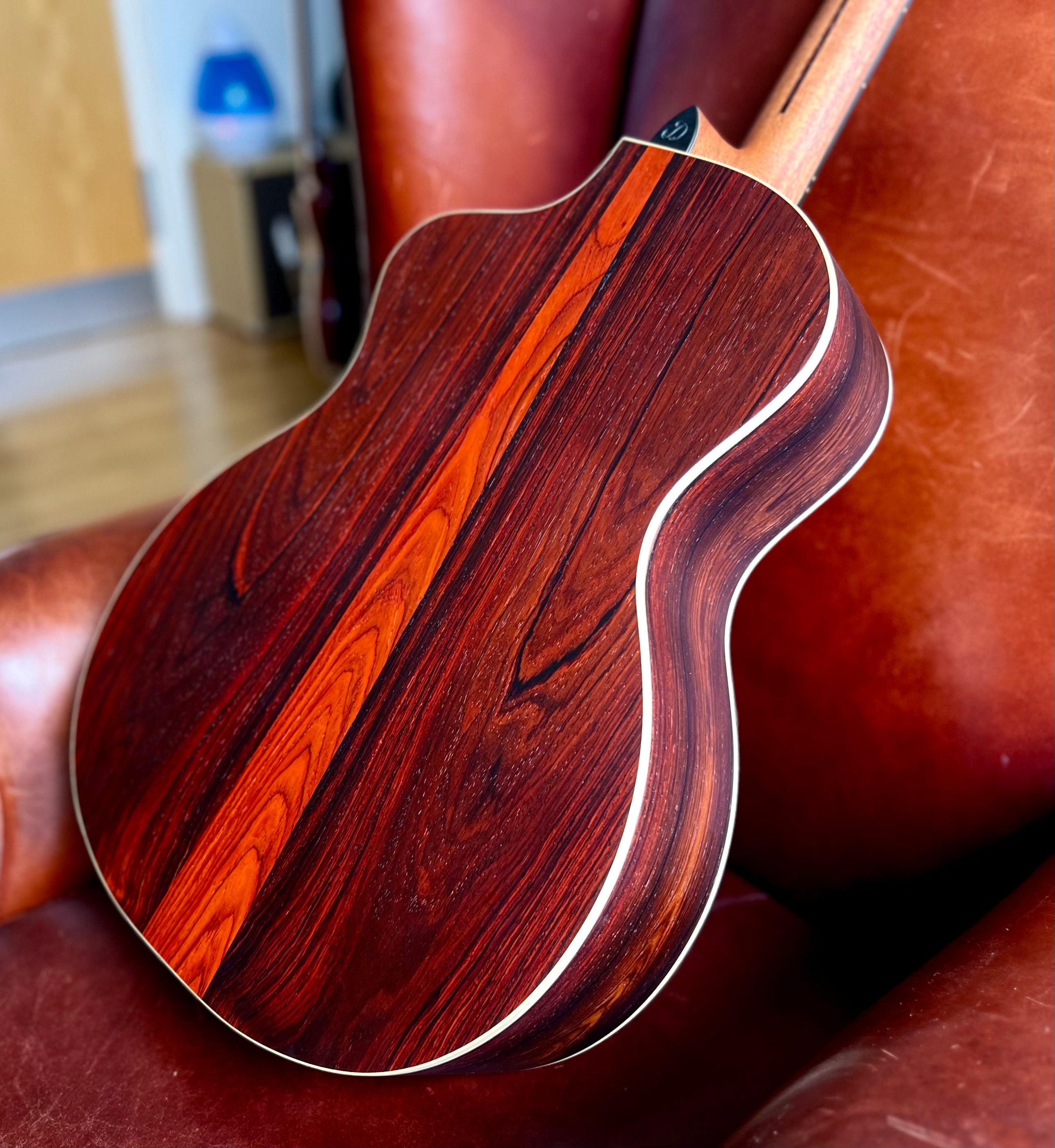 Dowina Cocobolo III Trio Plate GAC Deluxe (Torrified Swiss Moon Spruce), Acoustic Guitar for sale at Richards Guitars.