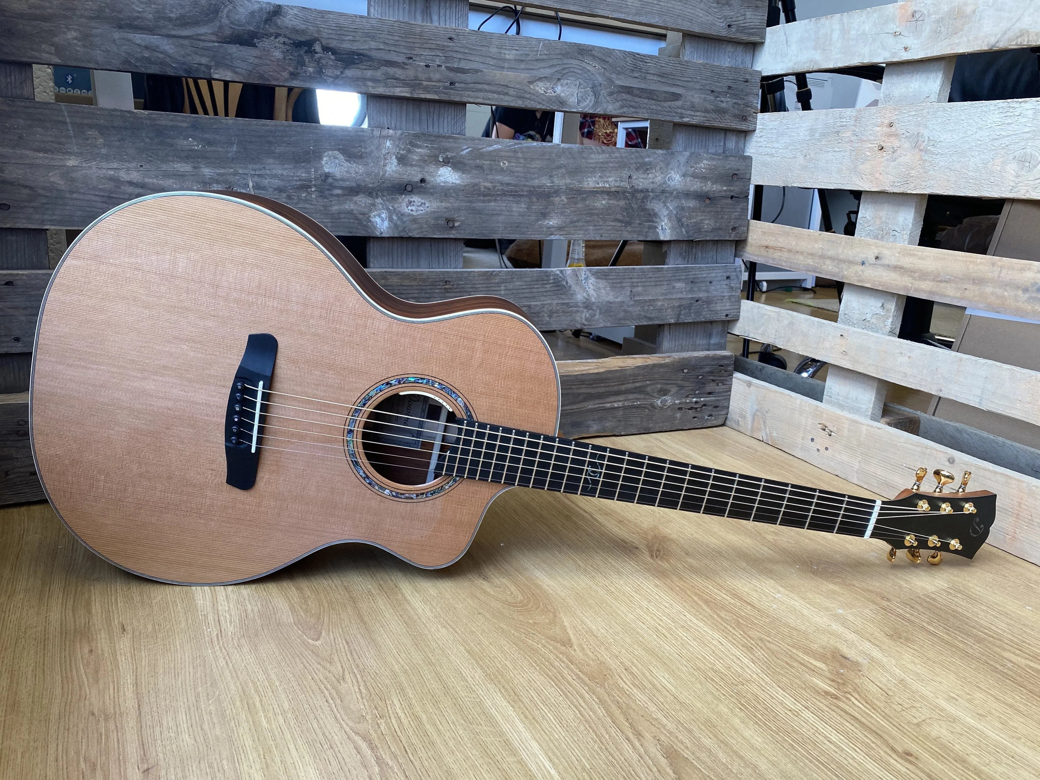 Dowina Cocobolo Trio Plate (Cocobolo III) GACE With LR Baggs Anthem, Acoustic Guitar for sale at Richards Guitars.