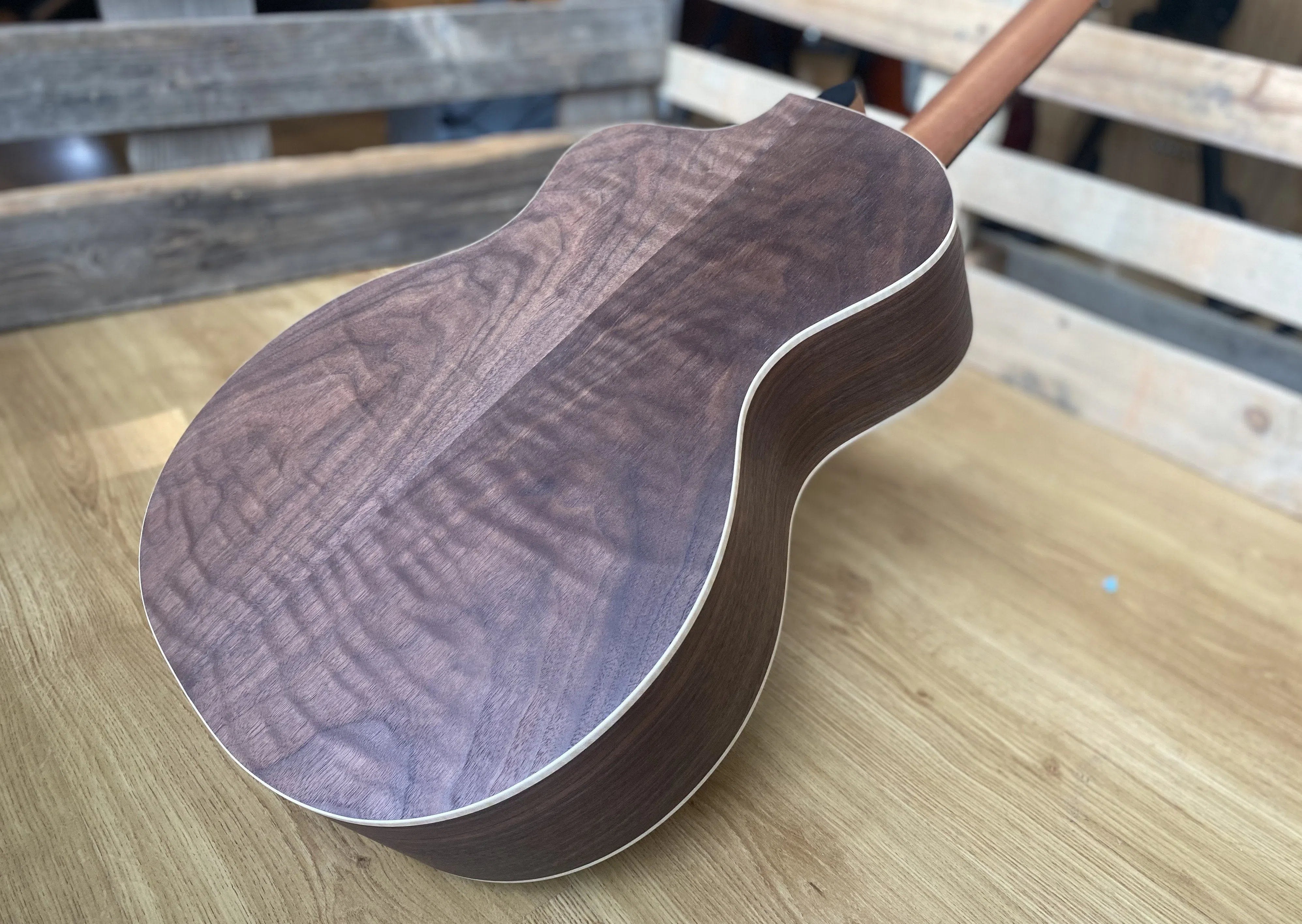 Dowina Walnut Tribute GAC Custom #2, Acoustic Guitar for sale at Richards Guitars.