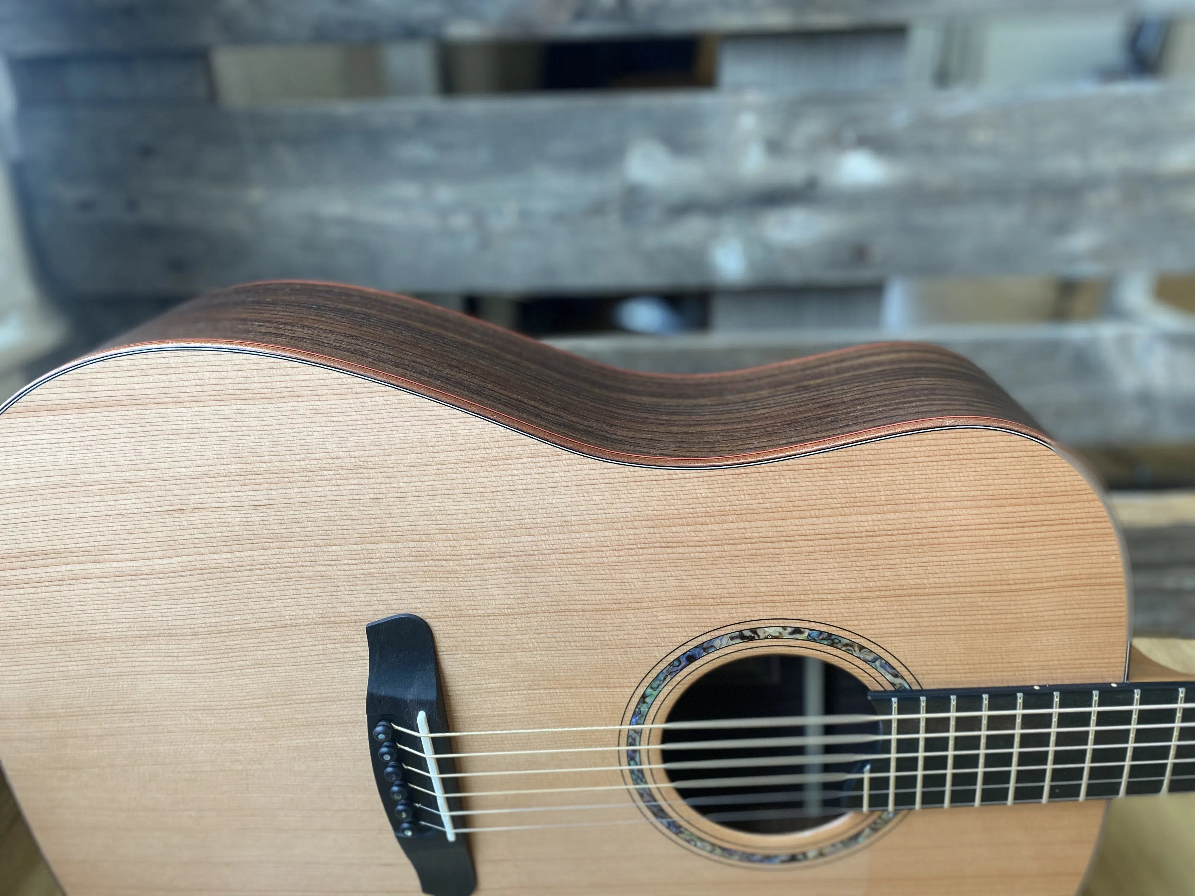 Dowina Rosewood / Maple / Rosewood Trio Plate (Amber Road) Dreadnought, Acoustic Guitar for sale at Richards Guitars.