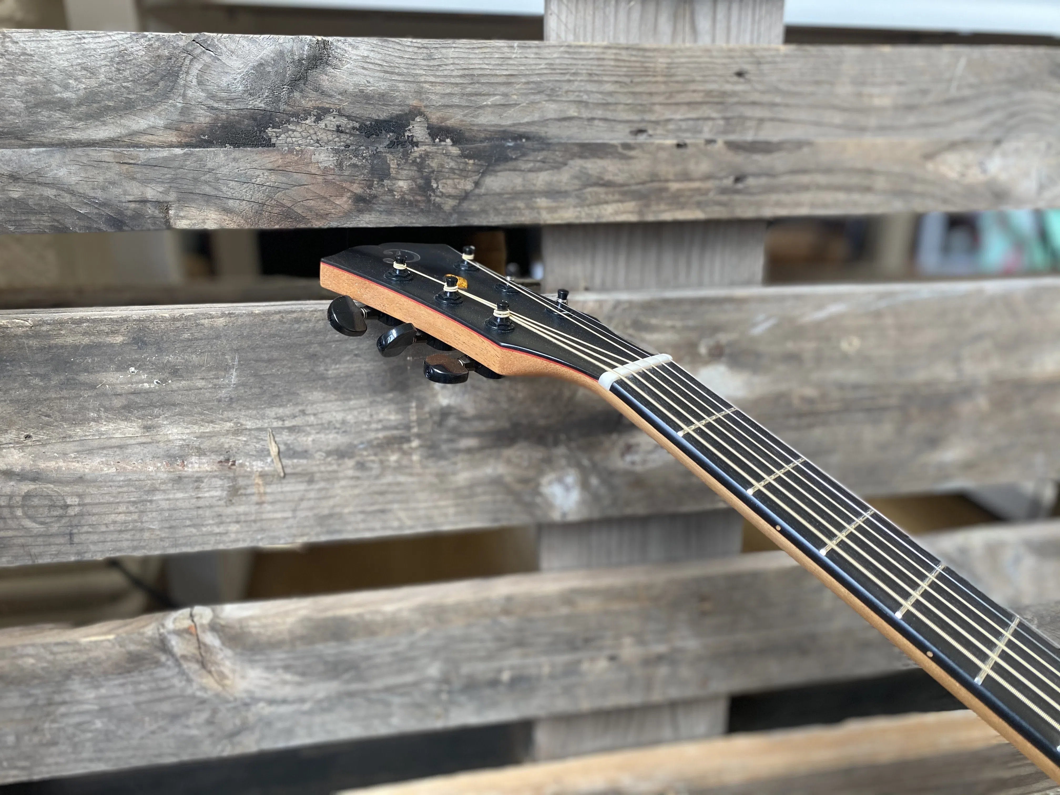 Dowina Rosewood / Maple / Rosewood Trio Plate (Amber Road) Dreadnought, Acoustic Guitar for sale at Richards Guitars.