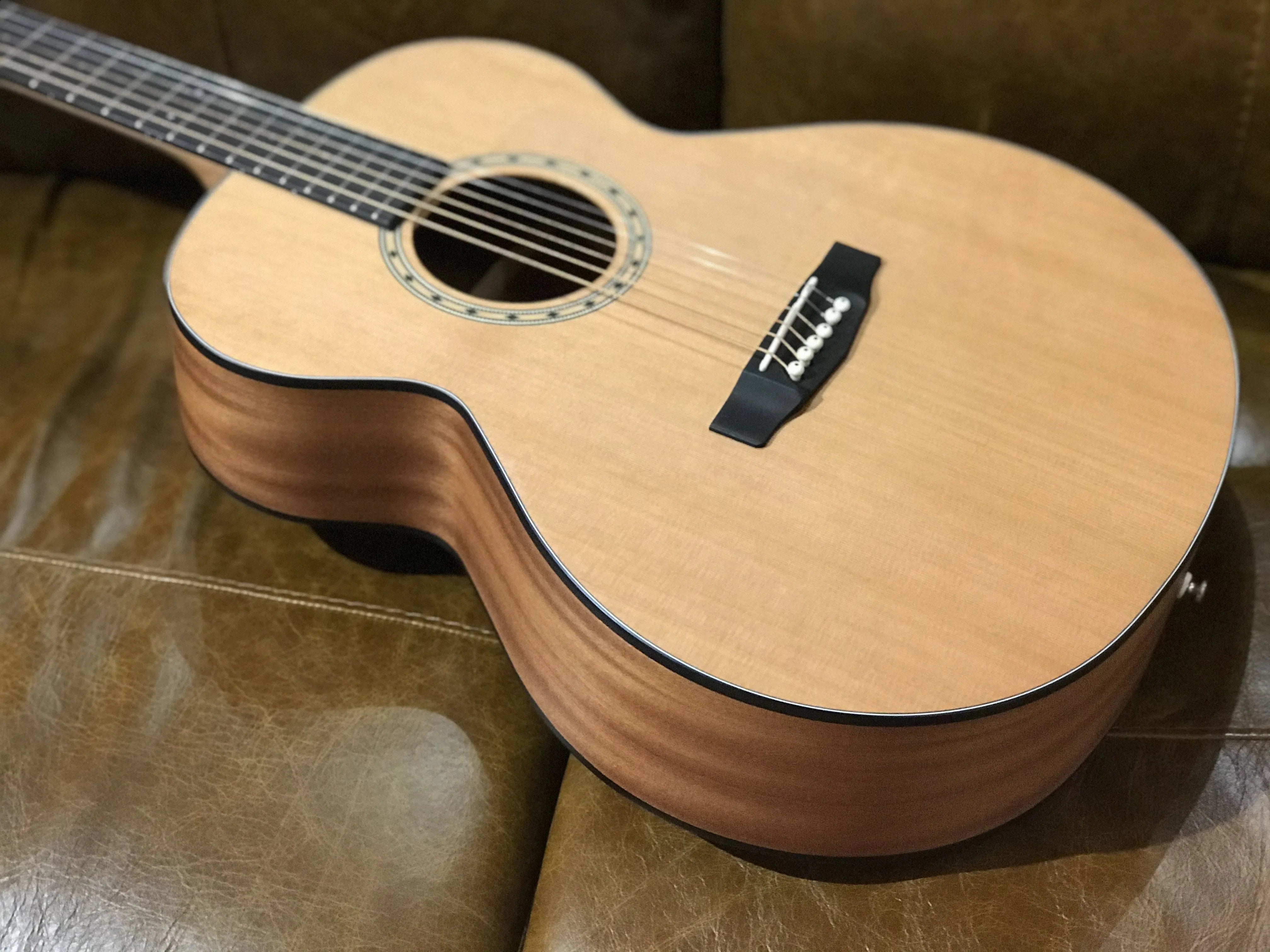 Dowina Vectis GA, Acoustic Guitar for sale at Richards Guitars.