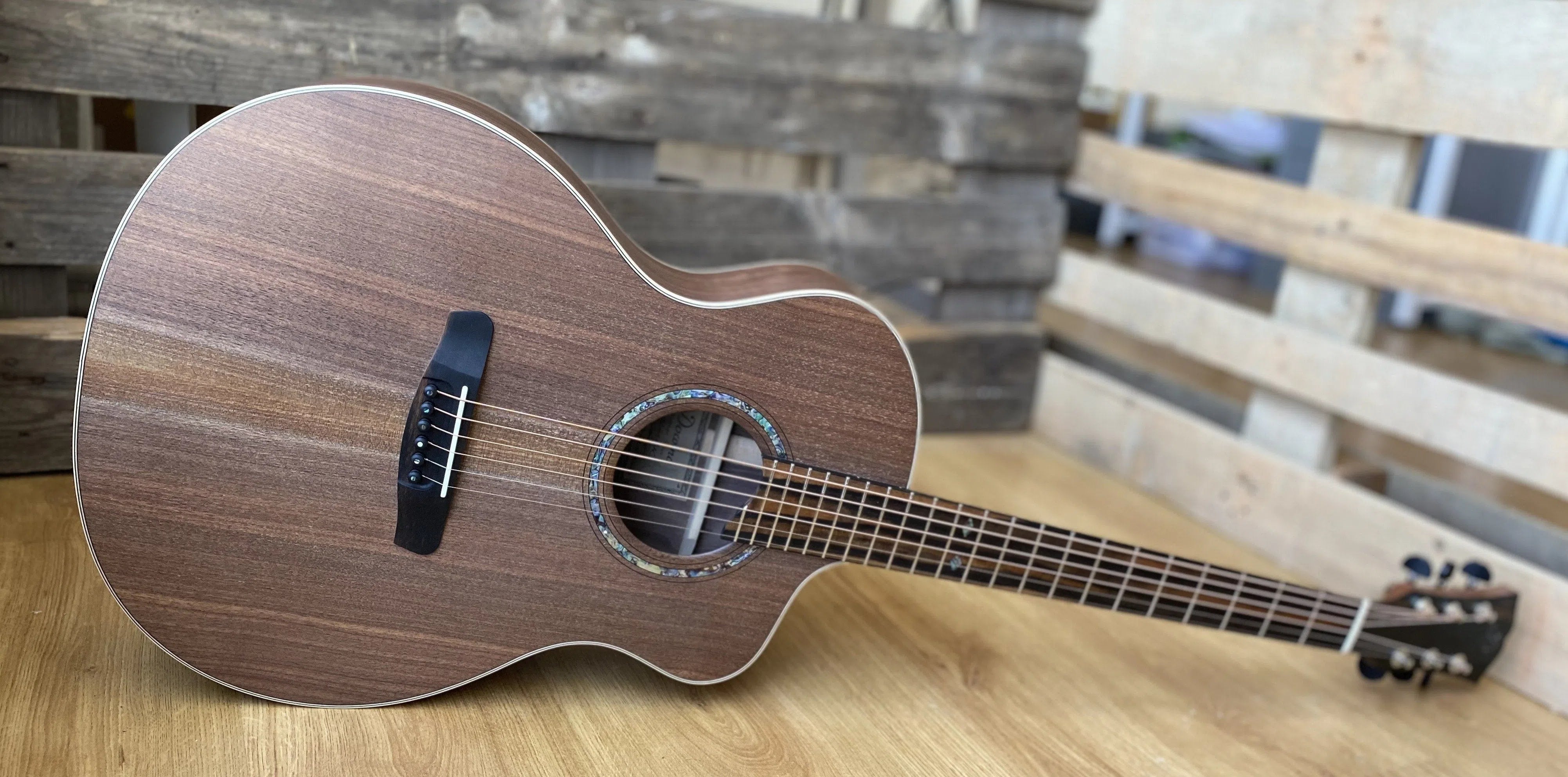 Dowina Walnut Tribute DLX GAC, Acoustic Guitar for sale at Richards Guitars.