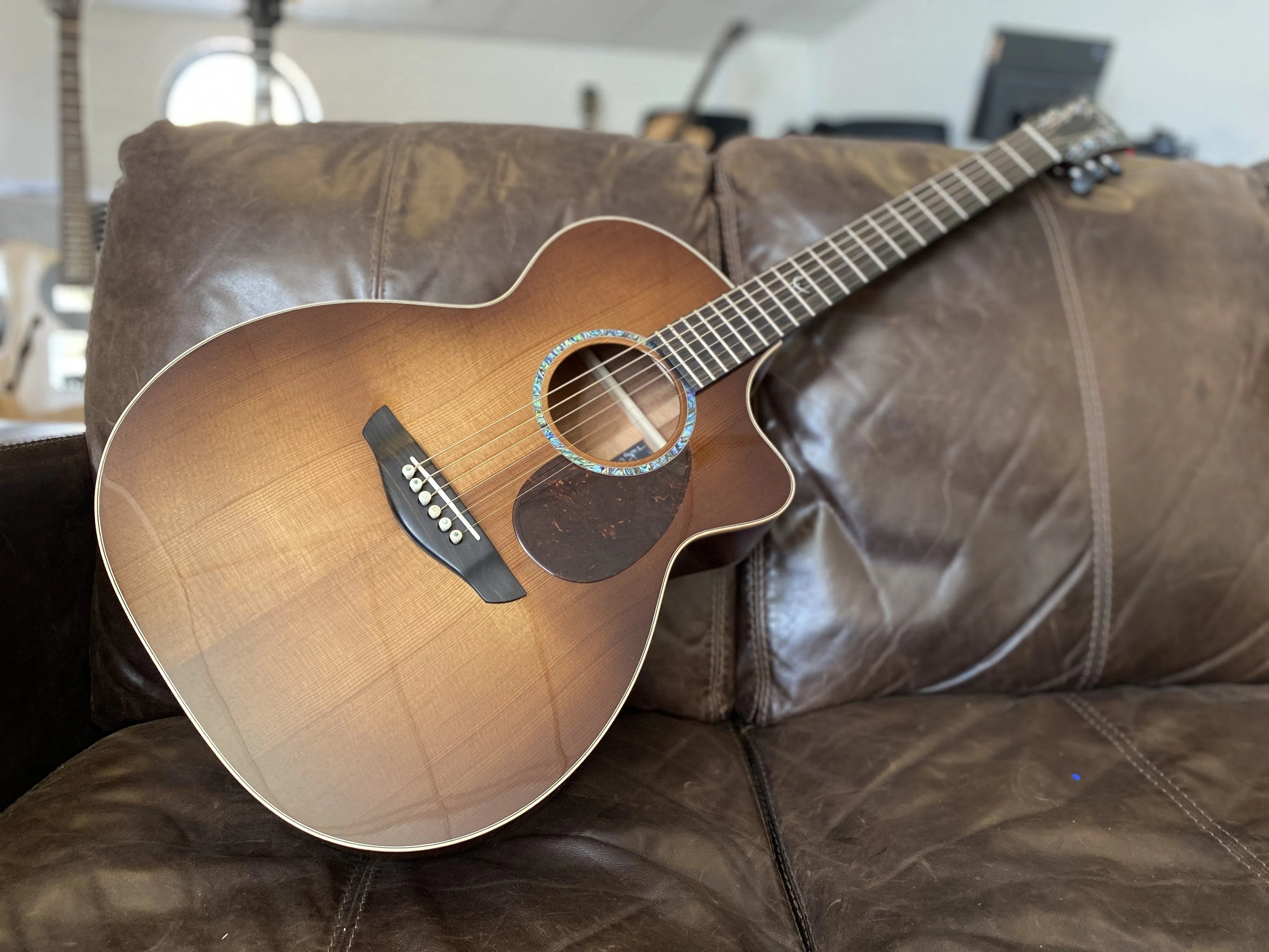 Faith Monarch Earth By Patrick James Eggle, Acoustic Guitar for sale at Richards Guitars.