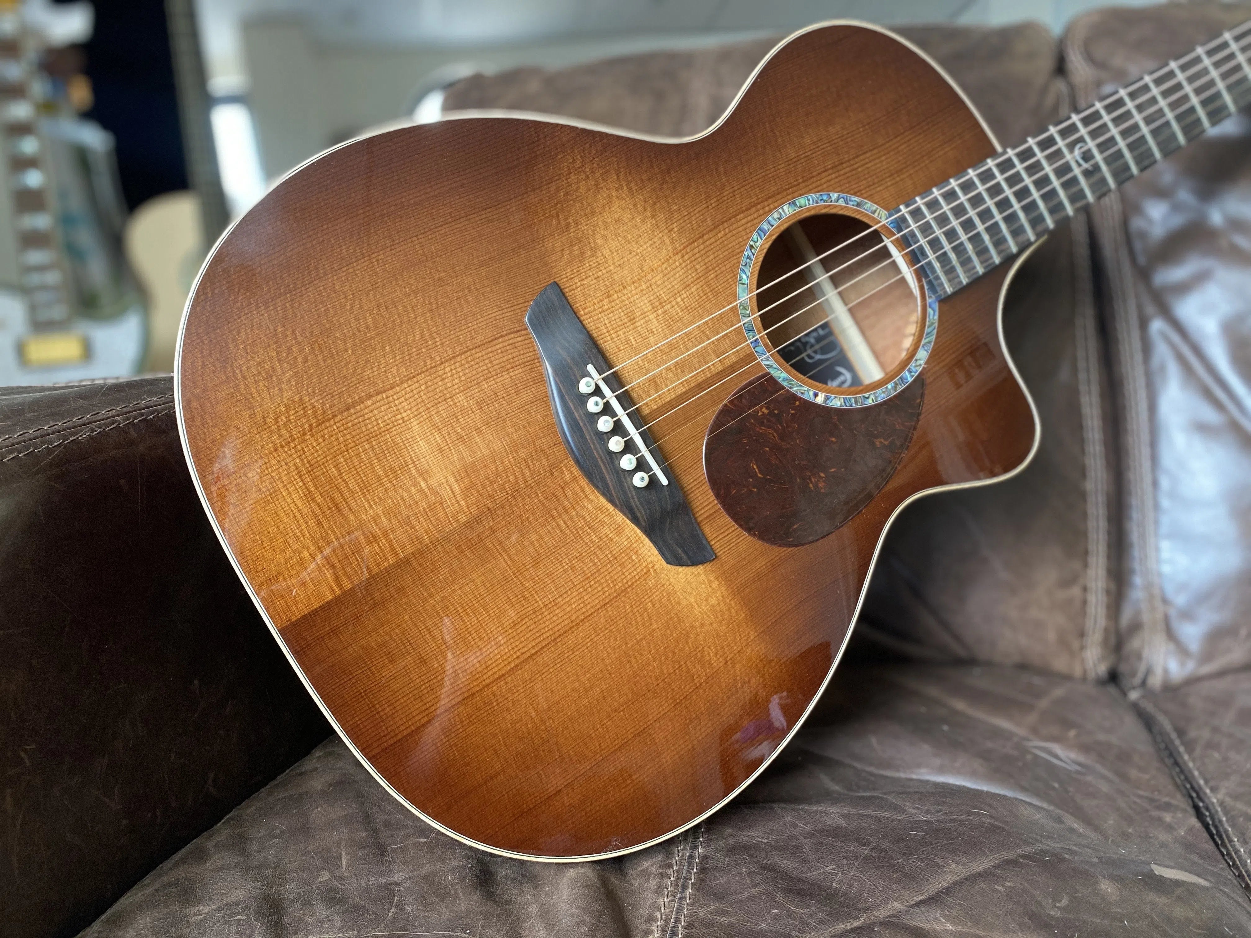 Faith Monarch Earth By Patrick James Eggle, Acoustic Guitar for sale at Richards Guitars.