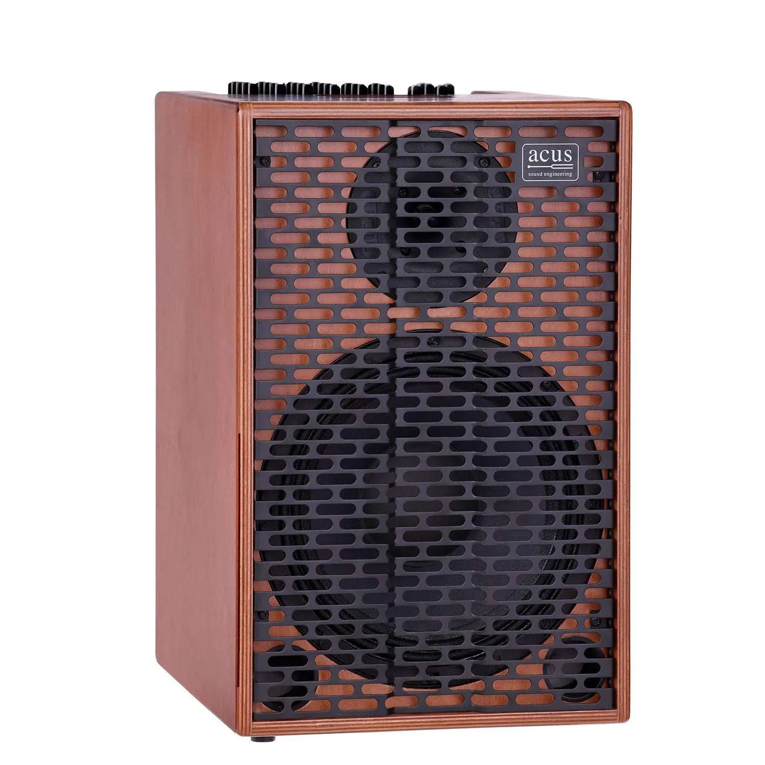 Best Acoustic Guitar Amp Under £1000