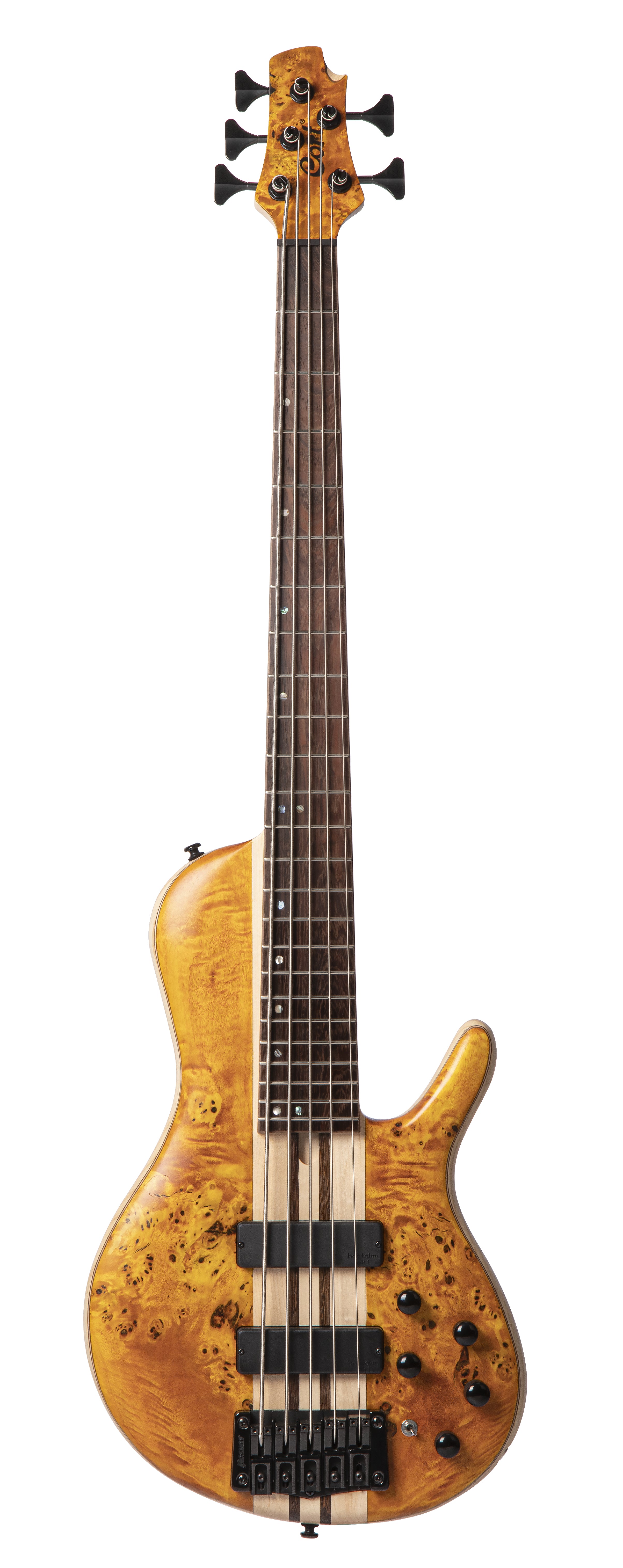 Cort Artisan A5 Plus SC Swamp Ash Amber Open Pore w/Case, Bass Guitar for sale at Richards Guitars.