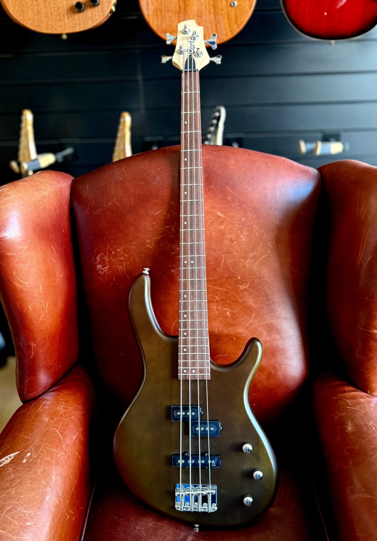 Cort Action Bass PJ Open Pore Walnut Bass Guitar - Richards Guitars Of Stratford Upon Avon