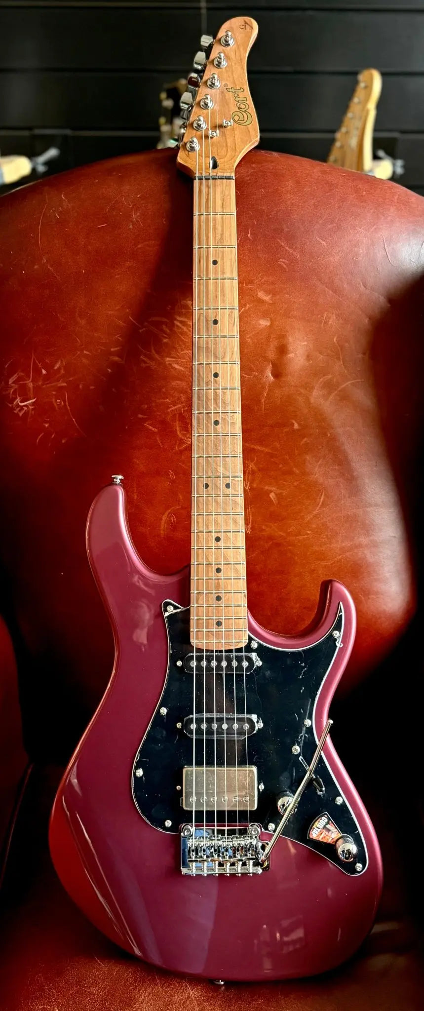Cort G250 SE Vivid Burgundy Electric Guitar | FREE Custom Pro