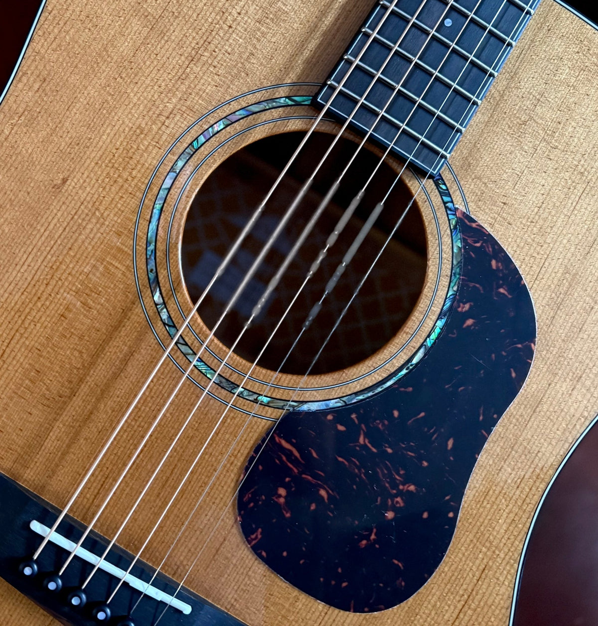 Cort Gold D6 Custom Pro Exclusive W' Torrified All Solid Wood Acoustic Guitar - Richards Guitars Of Stratford Upon Avon