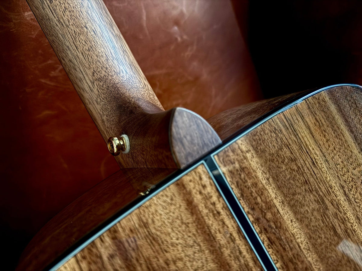 Cort Gold D6 Custom Pro Exclusive W' Torrified All Solid Wood Acoustic Guitar - Richards Guitars Of Stratford Upon Avon