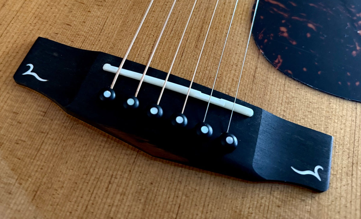 Cort Gold D6 Custom Pro Exclusive W' Torrified All Solid Wood Acoustic Guitar - Richards Guitars Of Stratford Upon Avon