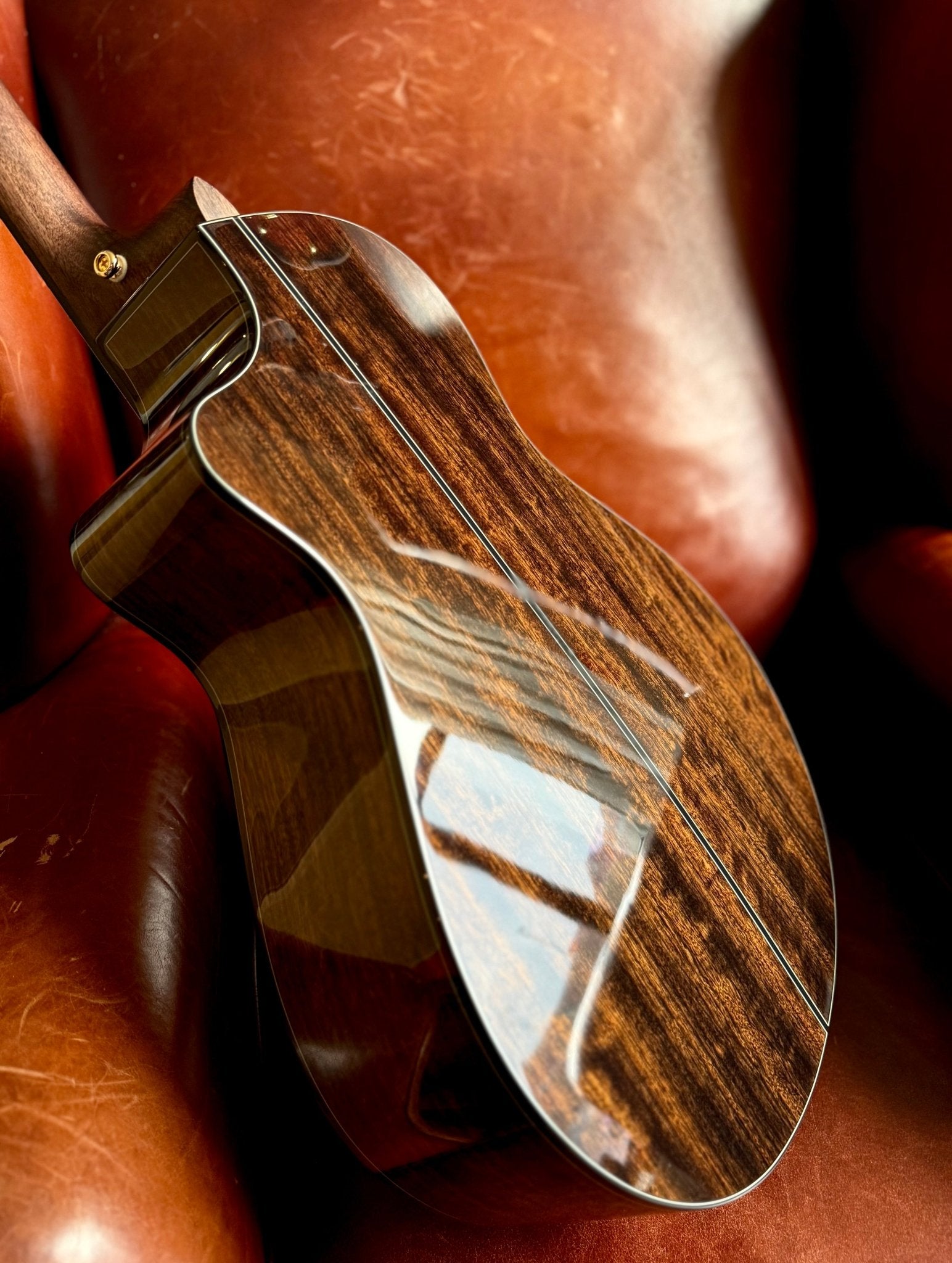 Cort Gold MC6 Ovangkol Electro Acoustic Guitar w/Case w' £225 Custom Pro Setup & Support Package - Richards Guitars Of Stratford Upon Avon