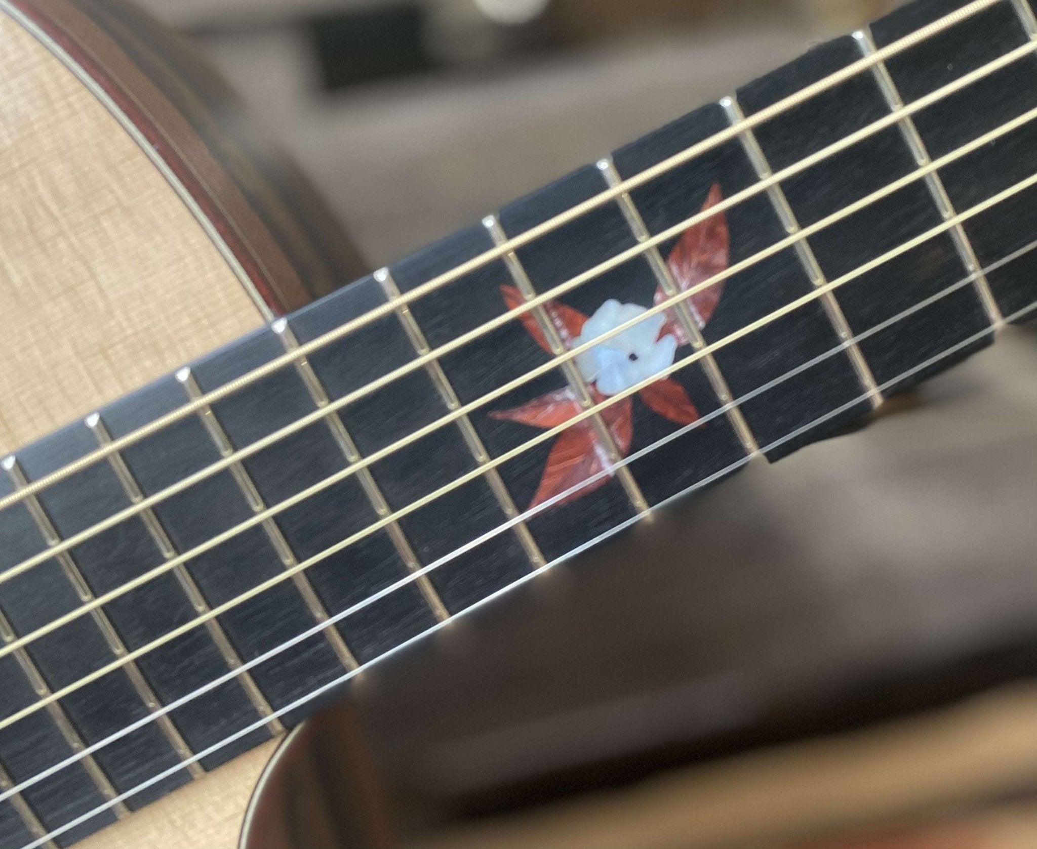 Dowina Figured Ebony GAC Swiss Moon Spruce - Richards Guitars Of Stratford Upon Avon