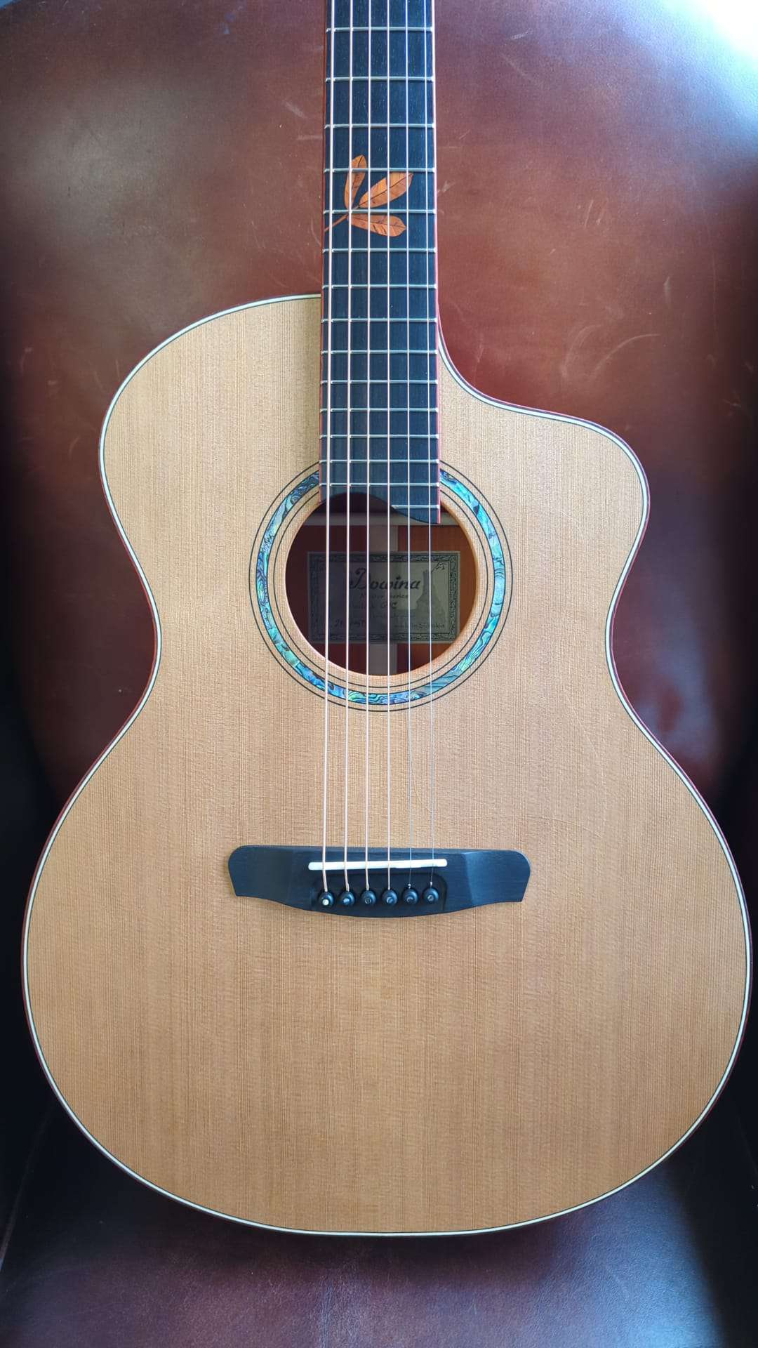 Dowina Padauk GAc - Richards Guitars Of Stratford Upon Avon
