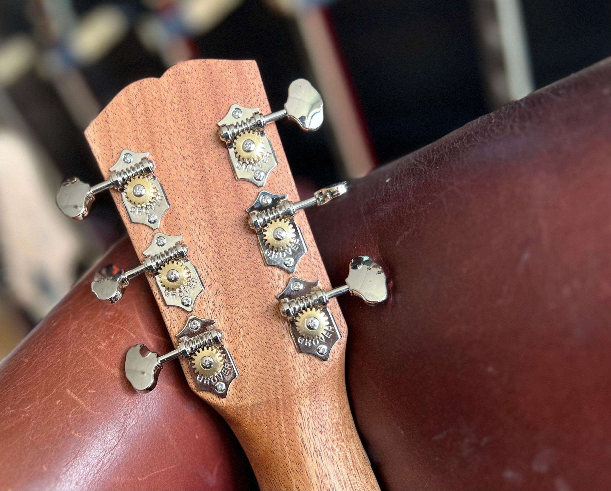 Dowina Walnut OMG Cedar. OM Body Acoustic Guitar - Richards Guitars Of Stratford Upon Avon