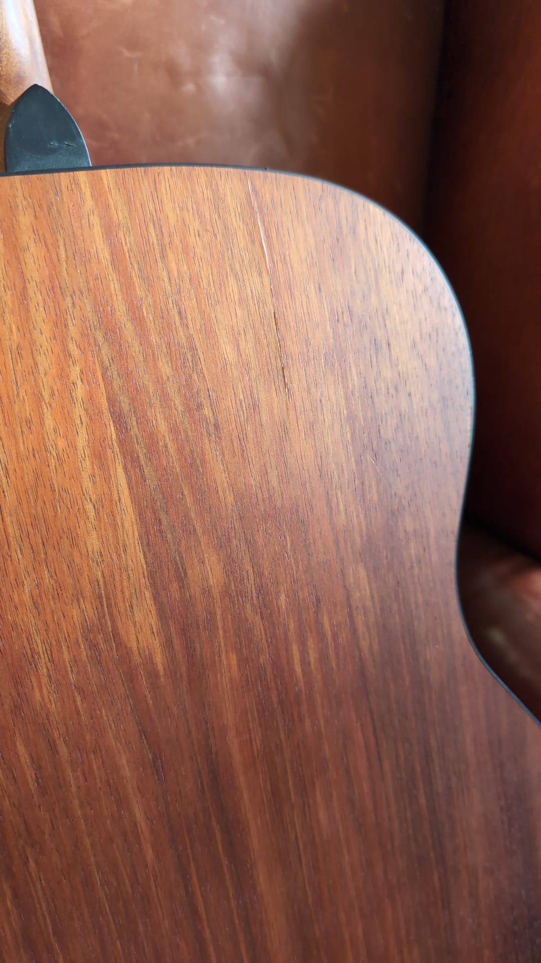 Buy Cort Core OC Blackwood (B-stock) 