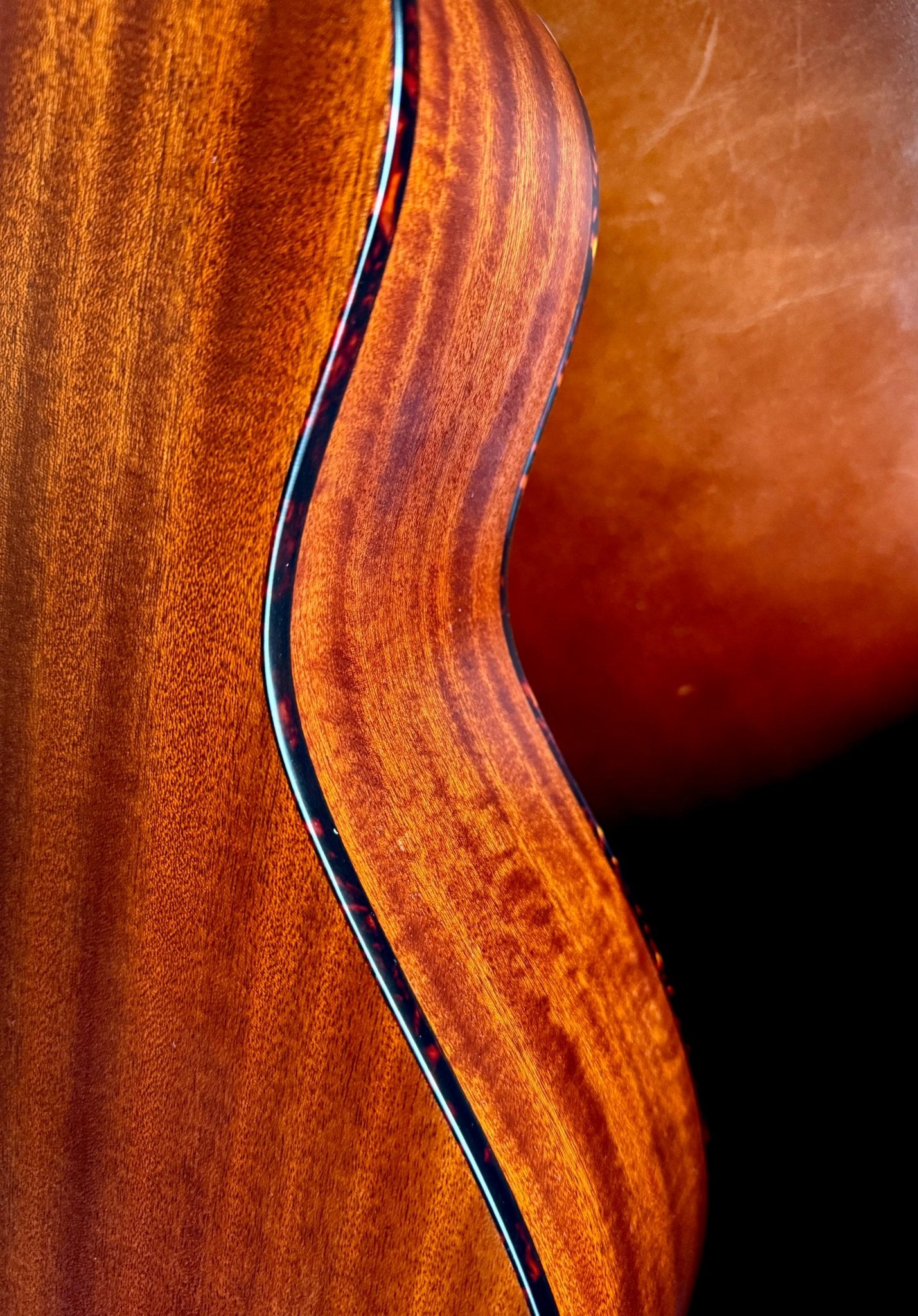 Eastman ACTG - 1 All Solid Acoustic Travel Guitar In Classic Finish - Richards Guitars Of Stratford Upon Avon