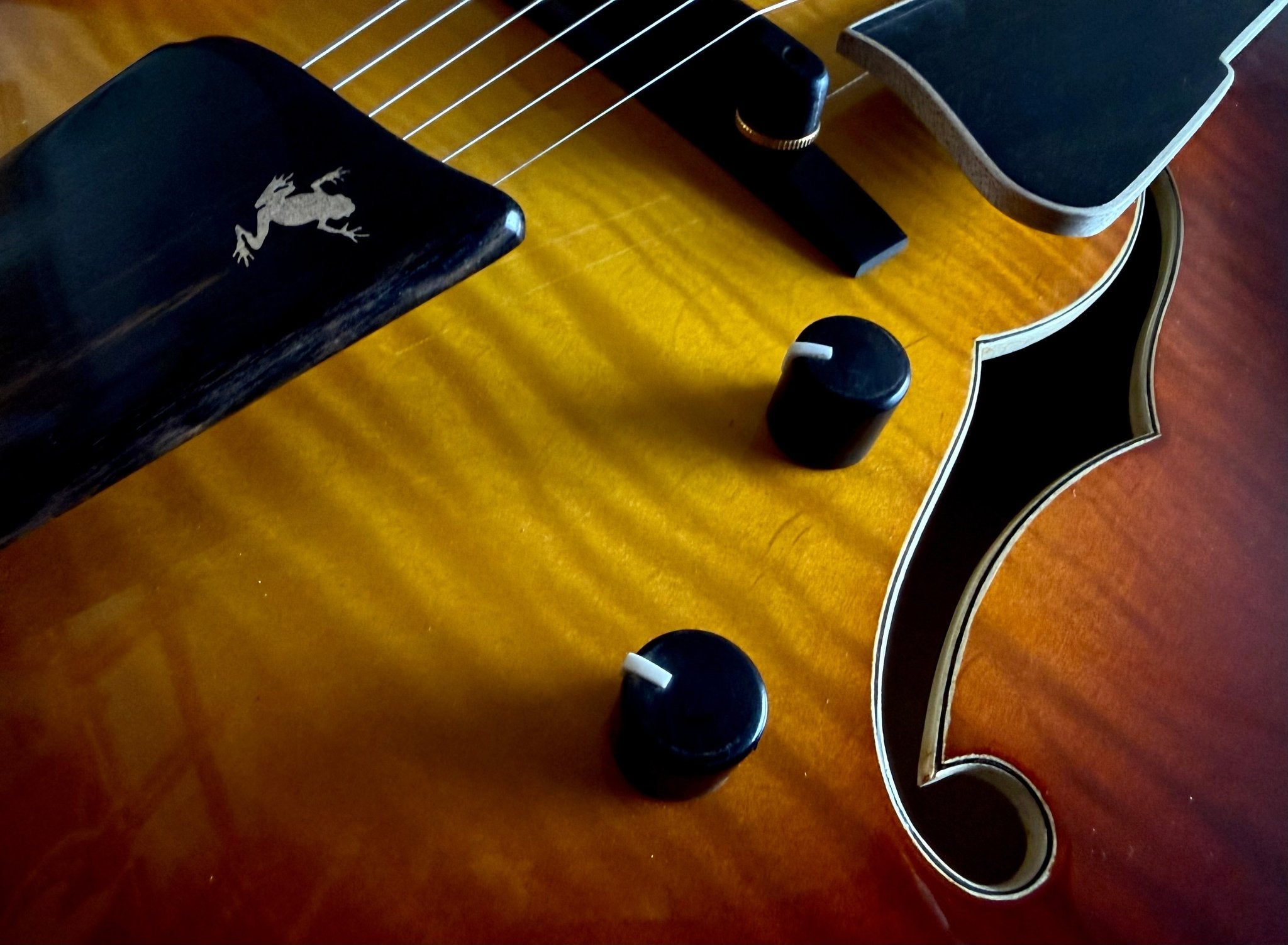 Eastman AR480ce John Pisano 30th Anniversary Archtop Electric Guitar. Personally Hand Picked & Best Example In UK (Custom Pro Exclusive) - Richards Guitars Of Stratford Upon Avon