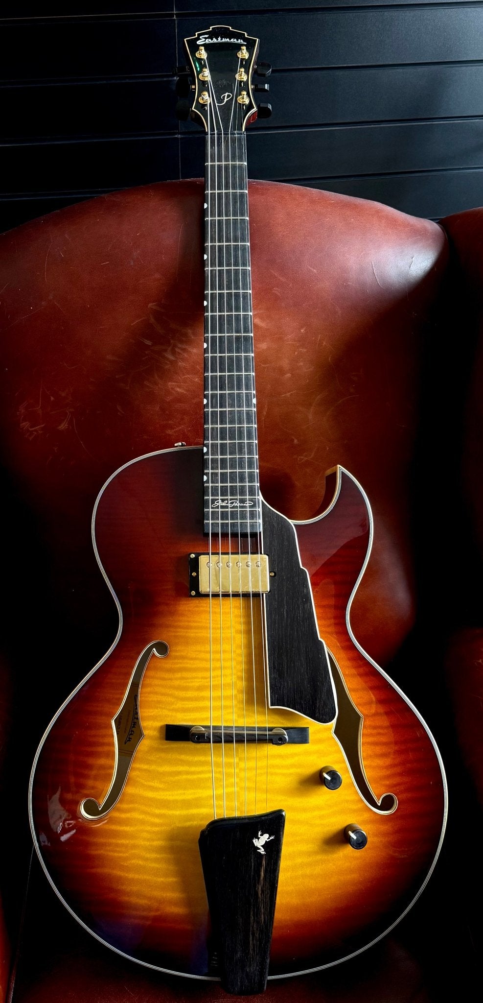 Eastman AR480ce John Pisano 30th Anniversary Archtop Electric Guitar. Personally Hand Picked & Best Example In UK (Custom Pro Exclusive) - Richards Guitars Of Stratford Upon Avon