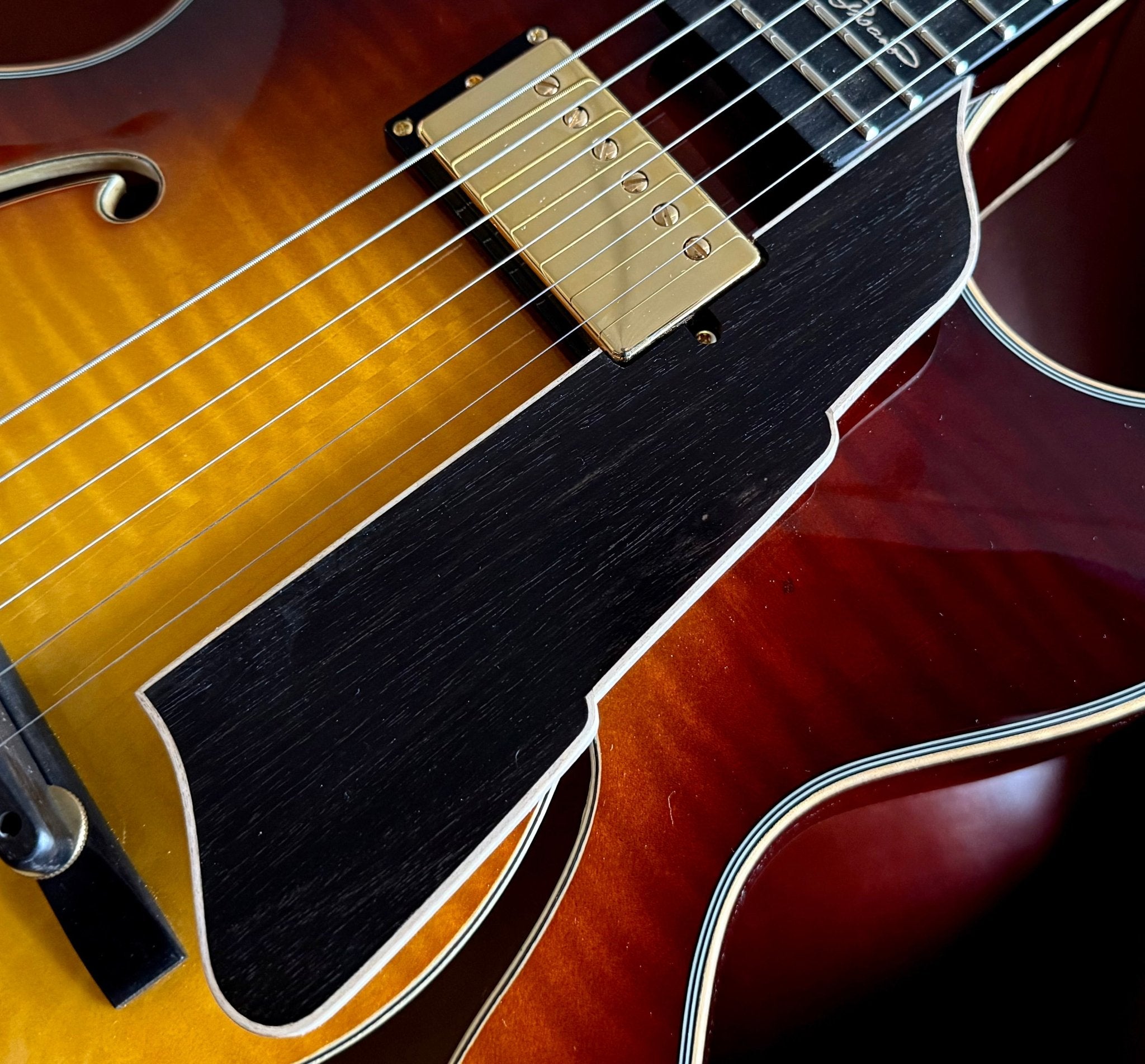 Eastman AR480ce John Pisano 30th Anniversary Archtop Electric Guitar. Personally Hand Picked & Best Example In UK (Custom Pro Exclusive) - Richards Guitars Of Stratford Upon Avon