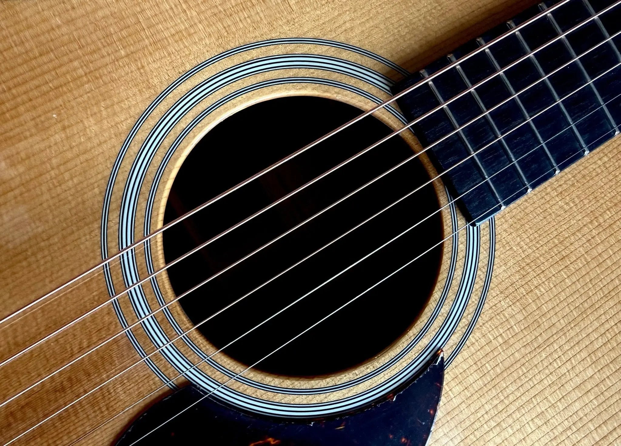 Buy Eastman E20OM-MR-TC Madagascar Rosewood  (Price inc. Custom Pro Setup Package) 