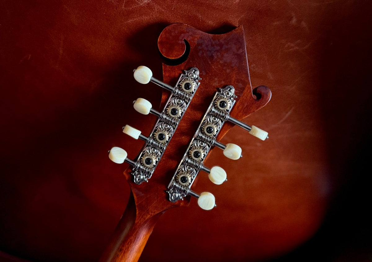 Eastman MD315F WN ("Wide Neck") F-Style Adirondack Mandolin - Richards Guitars Of Stratford Upon Avon