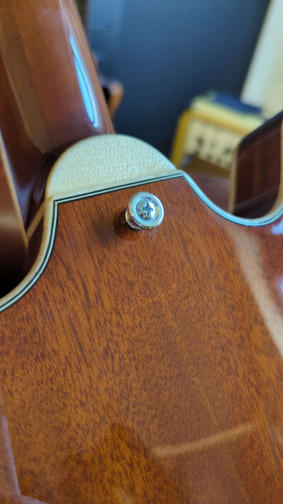 Eastman T186mx GB [B - stock] (Price inc. Custom Pro Setup Package) - Richards Guitars Of Stratford Upon Avon