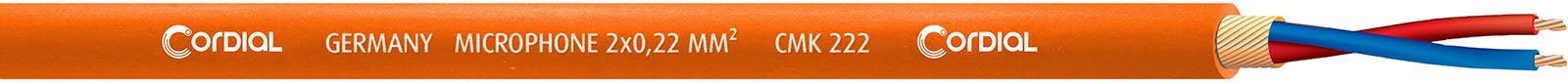 ECL CMK222 - ORANGE100 - Richards Guitars Of Stratford Upon Avon