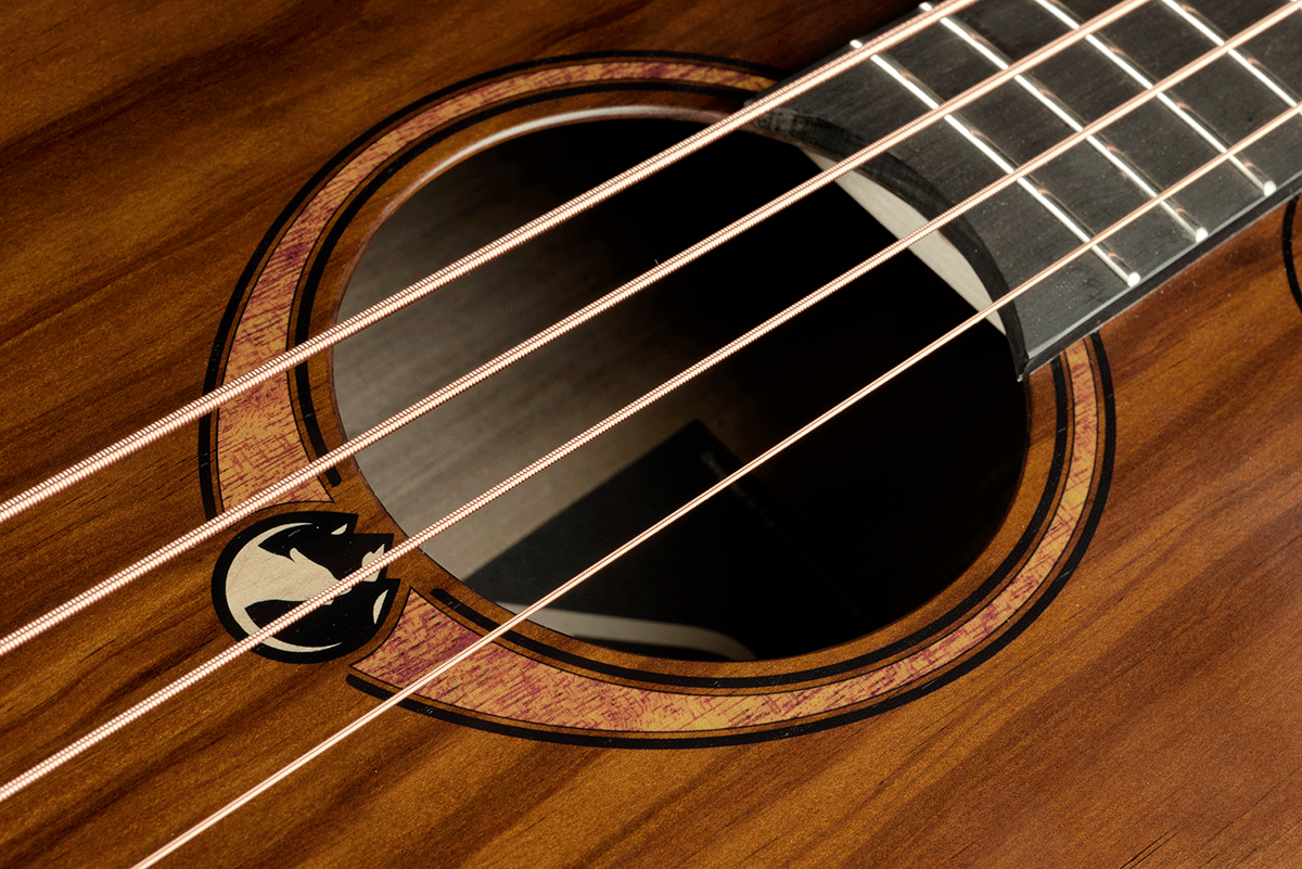 LAG Sauvage Jumbo Cutaway Electro Acoustic Bass Guitar, Electro Acoustic Bass for sale at Richards Guitars.