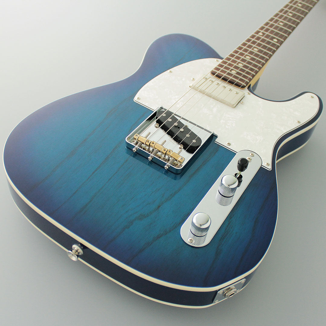 FGN Guitars Neoclassic TE 210R Ash HS See Thru Blueburst, Electric Guitar for sale at Richards Guitars.