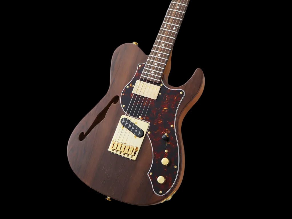 FGN Expert Iliad, Natural Electric Guitar - Richards Guitars Of Stratford Upon Avon