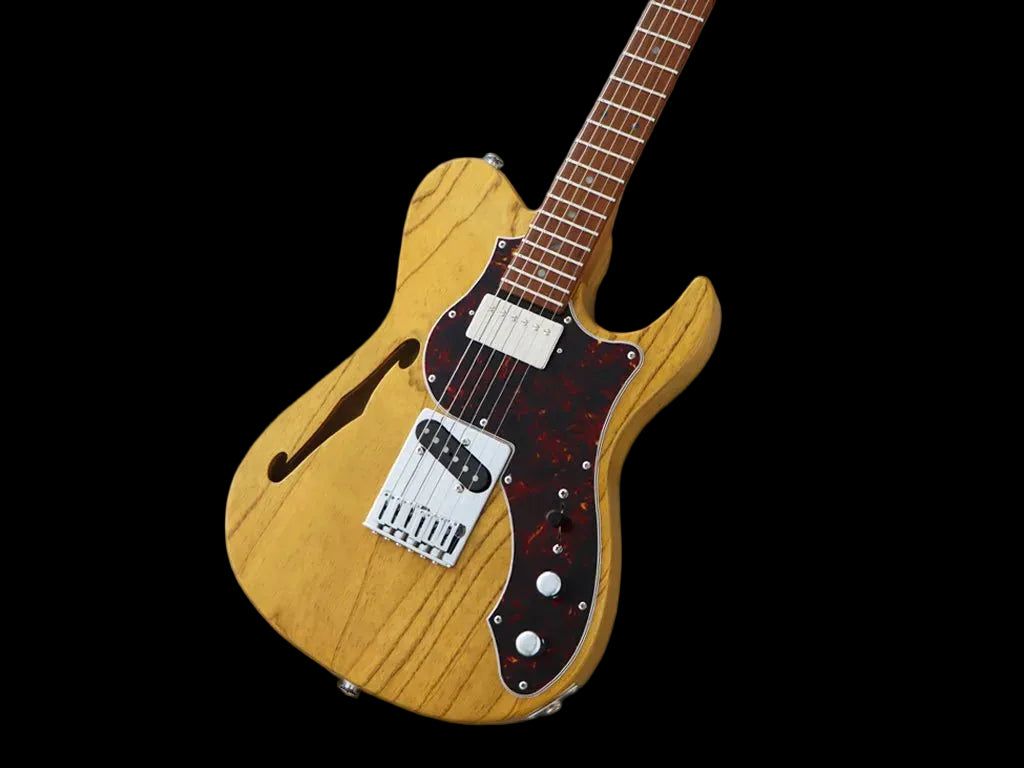FGN Expert Iliad Thinline, Vintage Natural Electric Guitar - Richards Guitars Of Stratford Upon Avon