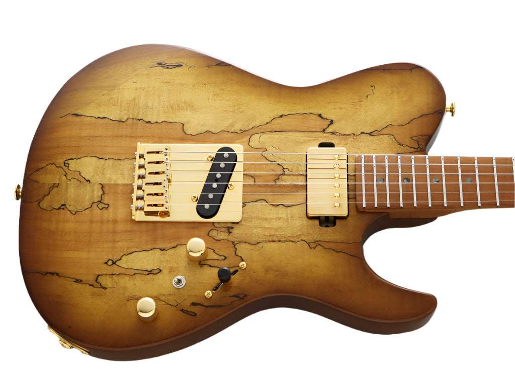 FGN Guitars Expert Iliad HCB Hojicha Burst - Richards Guitars Of Stratford Upon Avon