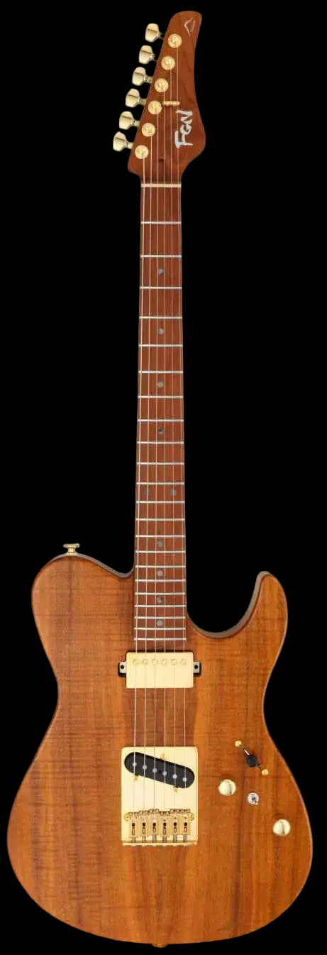 FGN Guitars Expert Iliad VNT Vintage Natural - Richards Guitars Of Stratford Upon Avon