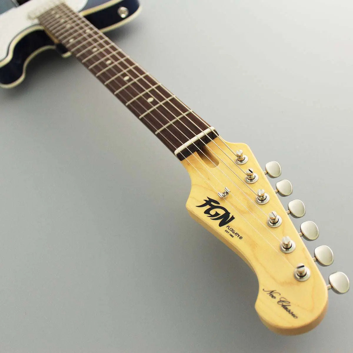 FGN Neoclassic TE 210R Ash HS See Thru Blueburst - Richards