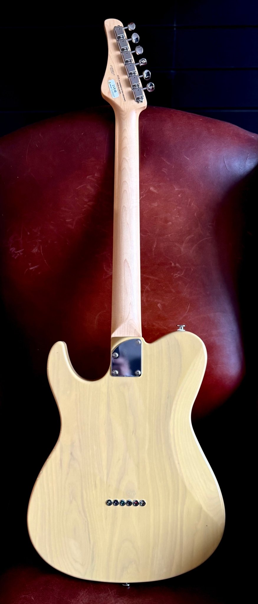 Buy FGN JIL Ash M OWB Electric Guitar Online | RGuitars