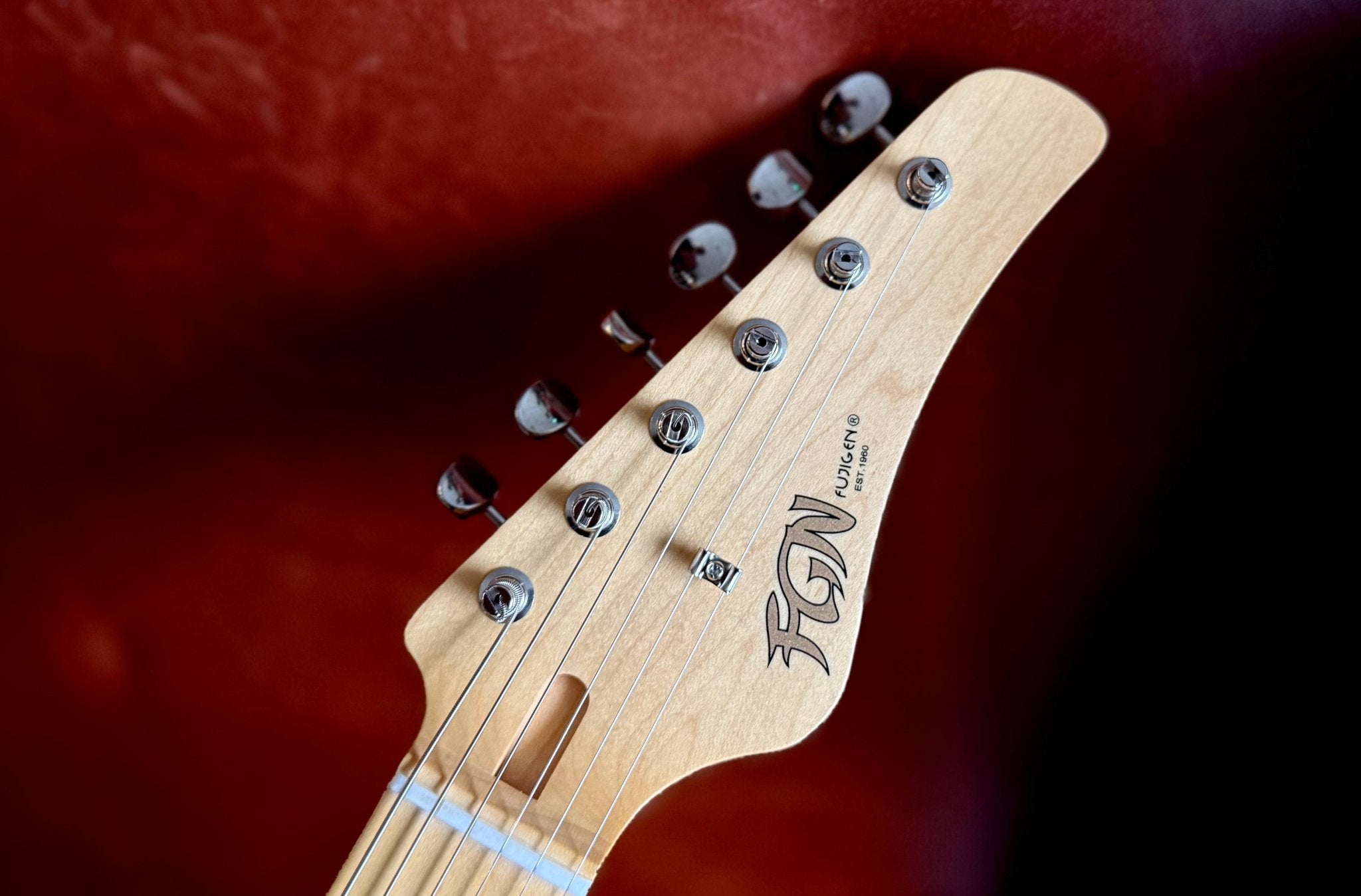 Buy FGN JIL Ash M OWB Electric Guitar Online | RGuitars